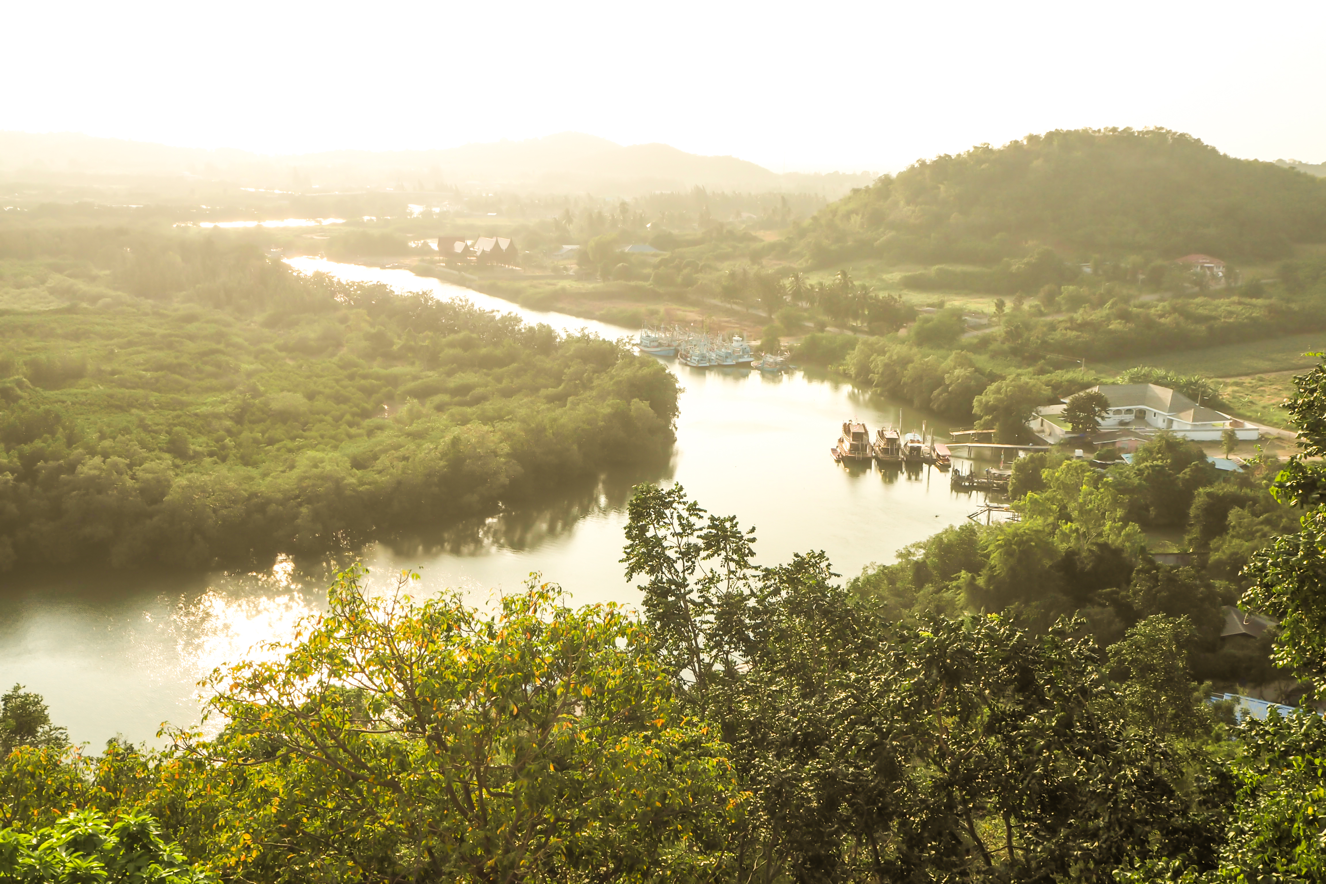 Amazonas-colombia